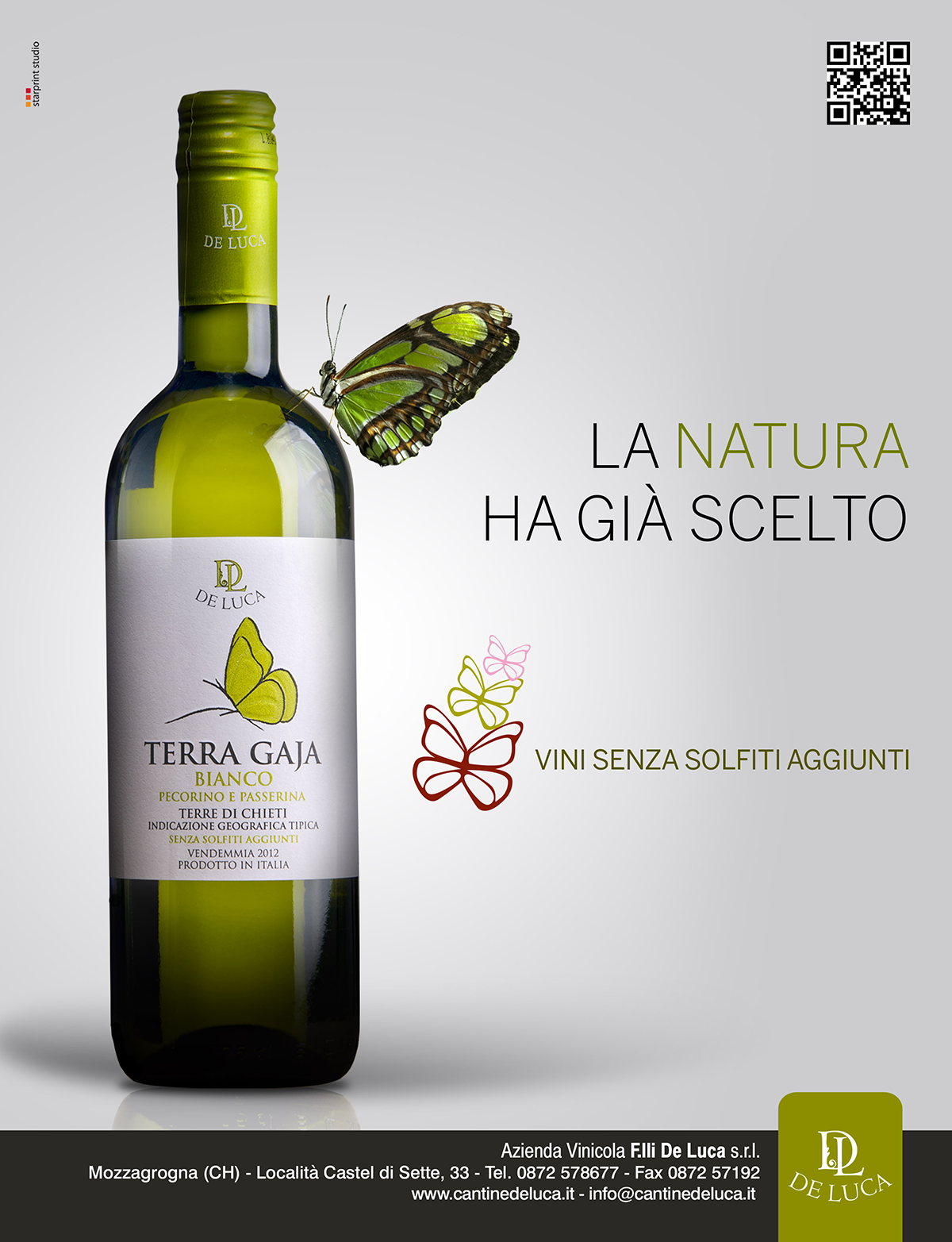 Ideazione e realizzazione etichetta 'Terra Gaja' Vino bianco d'Abruzzo.