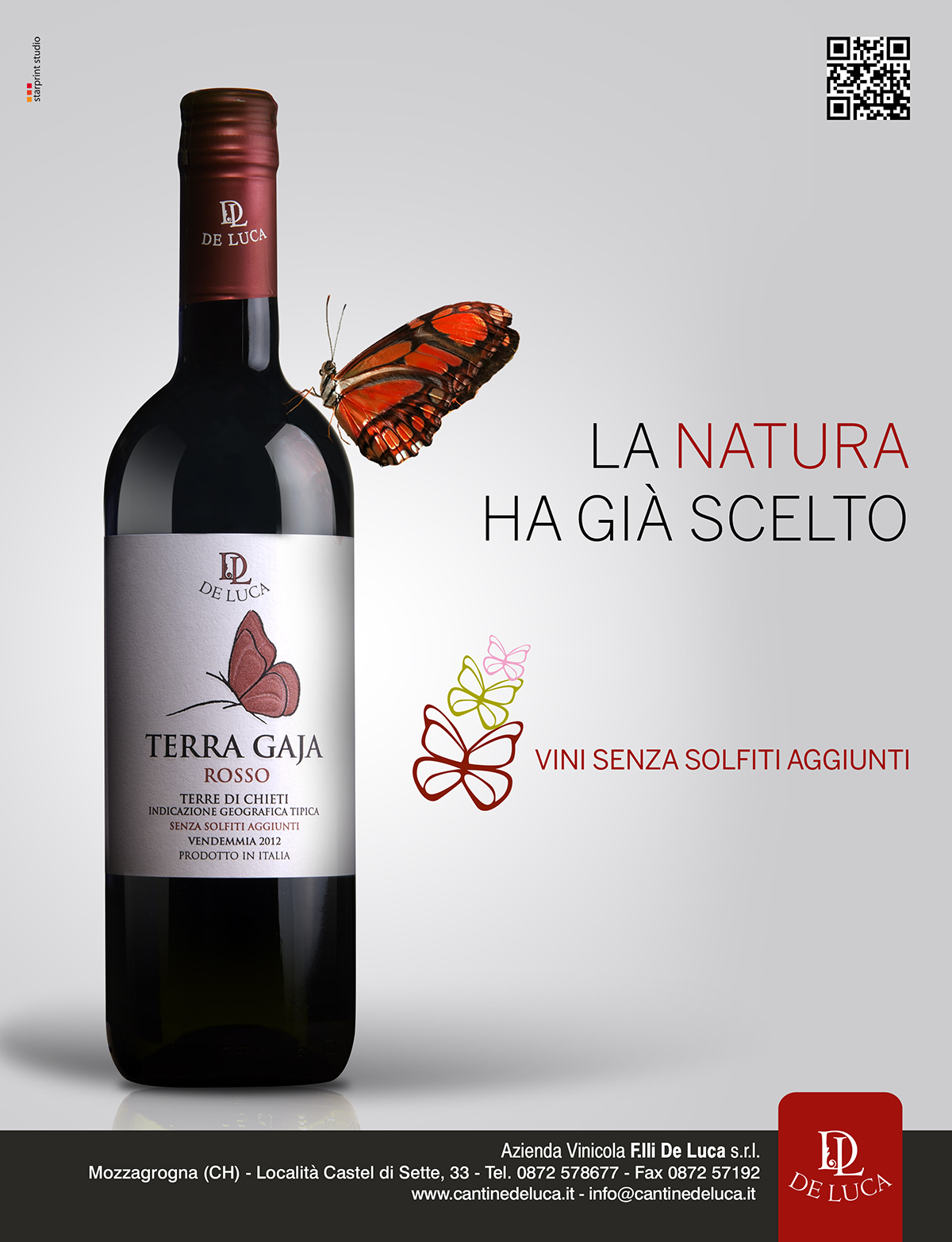Ideazione e realizzazione etichetta 'Terra Gaja' Vino rosso d'Abruzzo.